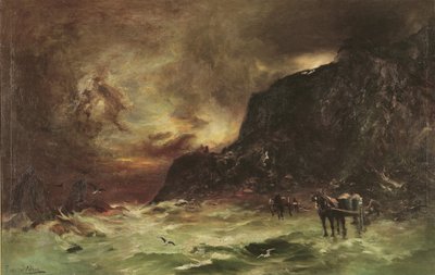 Tempesta a Wellington Heads da Petrus van der Velden